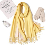 Pure Pashmina Shawl For Women