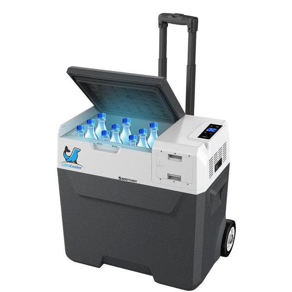 Portable Solar Refrigerator and Rechargeable Cooler